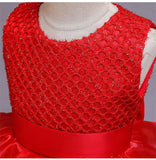 Girls Party Wedding Beaded Embroidery Princess Formal Prom Dress 3-12T - honeylives