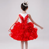 Girls Princess Tutu Dress Lace Applique Elegant Party Dress 1-10 Years - honeylives