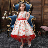 Kid Girl Princess Trailing Stage Catwalk Performance Dresses