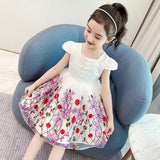 Kids Girls Elegant PrincessLace Embroidery Party Dress Flower Girl Clothes - honeylives