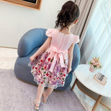 Kids Girls Elegant PrincessLace Embroidery Party Dress Flower Girl Clothes - honeylives