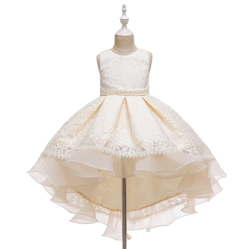 Kids Girl Cake Tutu Flower Dress Lace Party Wedding Formal Dress 3-12Y - honeylives