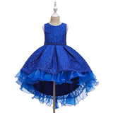 Kids Girl Cake Tutu Flower Dress Lace Party Wedding Formal Dress 3-12Y - honeylives