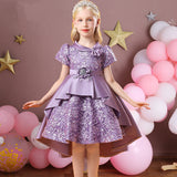 Kid Baby Girl Princess Wedding Party Ball Gown Embroidered Elegant Dresses