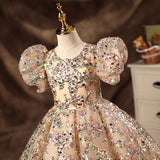 Kid Baby Girls Puffy Gauze Princess Flower Wedding Piano Performance Dress