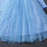 Kid Girl Princess Pure Cotton Spring/Autumn Frozen Elsa Dresses
