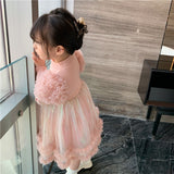 Kid Baby Ins Autumn Winter Princess Fashionable Dress