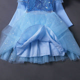 Kid Girl Princess Pure Cotton Spring/Autumn Frozen Elsa Dresses