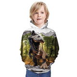 Children Kid 3D Printed Dinosaur Pattern Hoodie
