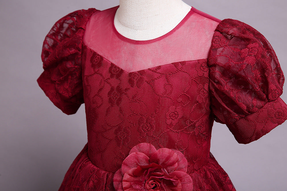 Kid Girl Princess Gauze Evening Lace Flower Pompous Dresses