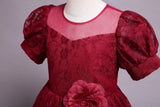 Kid Girl Princess Gauze Evening Lace Flower Pompous Dresses