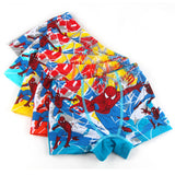 Kid Boy Cotton Cartoon Spiderman Underwear 2-9T 5 Pack