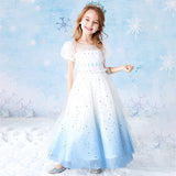 Kid Baby Girl Princess Summer New Frozen Aisha Pompous Dresses