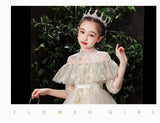 Kids Long Girl Champagne Sequin Embroidery Teenagers Ceremony Dress
