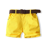 Kid Baby Boys Suit Beach Short Sleeve Pineapple Summer 2 Pcs Sets