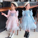 Kid Baby Girl Princess Autumn Knitted Sequins Cake Dress