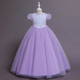 Kid Girl Christmas Princess Dress