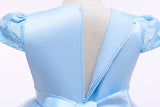 Kid Baby Girl Princess Trailing Wedding Shampong Gauze Host Dresses