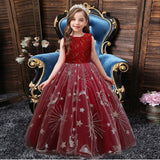 Kid Girl Princess Sleeveless Star Mesh Piano Dresses
