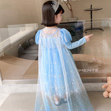 Kid Girl Frozen Aisha Long Sleeve Princess Dress
