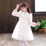 Girls Mesh Chiffon Princess Dress