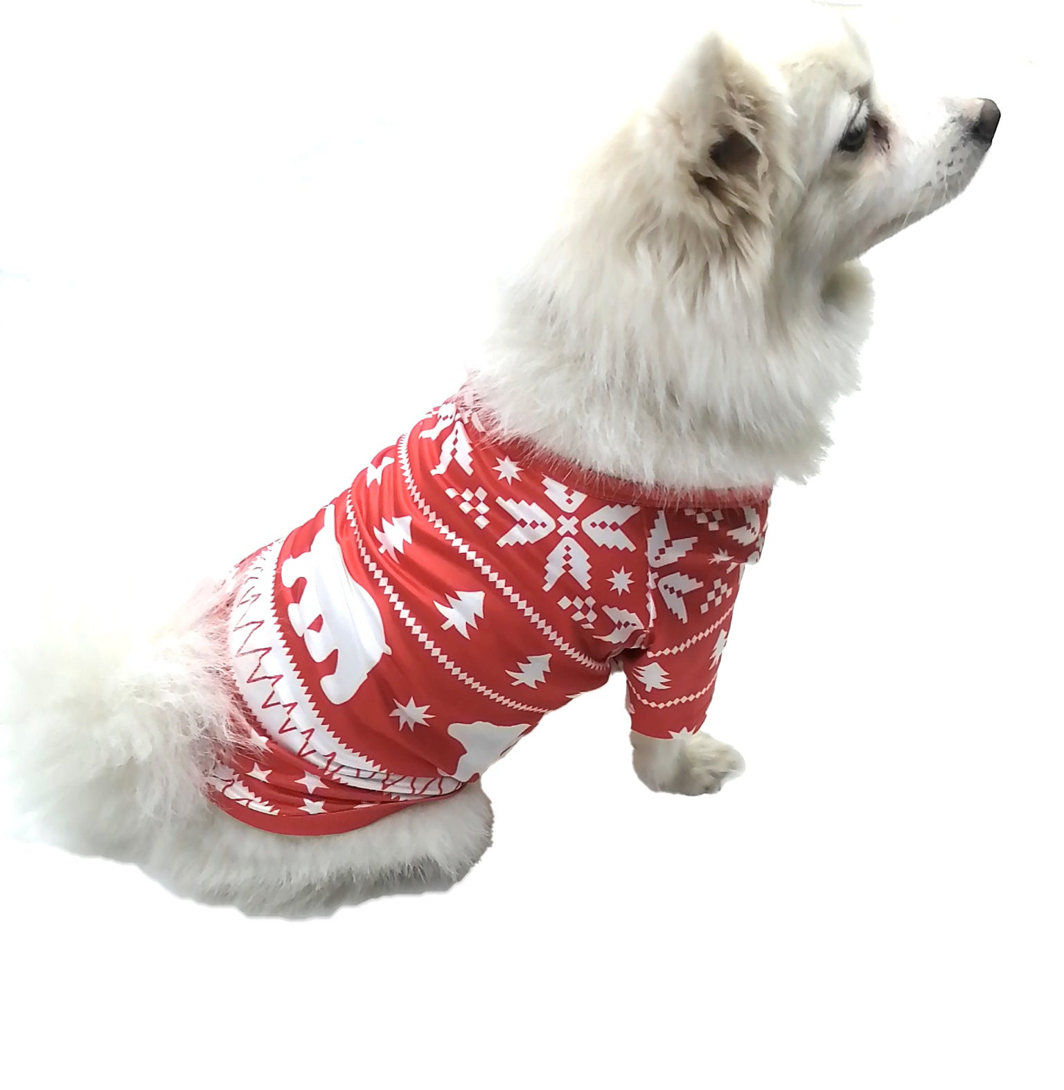 Family Matching Christmas Long Sleeve Cartoon Pajamas