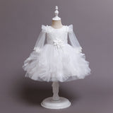 Baby Girl Princess Piano Performance Gauze Pompous Flower Dress