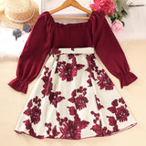 Kid Girl Spring Autumn Long Sleeve Printed Flower Dresses