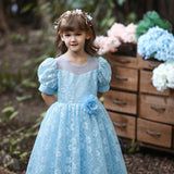 Kid Girl Princess Gauze Evening Lace Flower Pompous Dresses