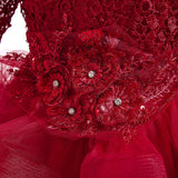 Kid Baby Girl Long Sleeved Sequins Gauze Puffy Princess Dress