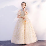 Kid Girls Performance Little Host Flower Wedding Dress