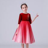 Kid Girls Princess Medium Long Sleeve Mesh Velvet Dresses