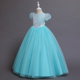 Kid Girl Christmas Princess Dress