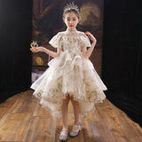 Kid Girl Catwalk Princess Flower Puffy Host Piano Dresses