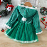 Kid Baby Girl Christmas Winter Silver Fox Velvet Dresses