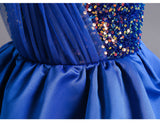 Kid Baby Girl Princess Sequin Mesh Royal Blue Catwalk Dresses