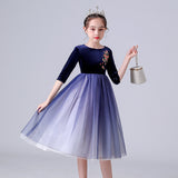 Kid Girls Princess Medium Long Sleeve Mesh Velvet Dresses