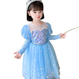 Kid Girl Frozen Aisha Long Sleeve Princess Dress