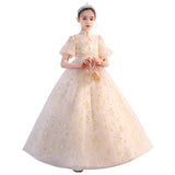 Kid Girls Performance Little Host Flower Wedding Dress