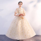 Kid Girls Performance Little Host Flower Wedding Dress