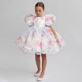 Kid Baby Girl Princess Bubble Sleeve Puffy Gauze  Lace Dresses