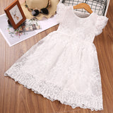 Kid Baby Girl Summer Western Bow Flying Sleeve Embroidery Gauze Flower Dresses