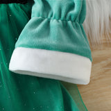Kid Baby Girl Christmas Winter Silver Fox Velvet Dresses