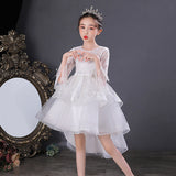 Kid Girl Princess Spring Autumn Mesh Sleeve Fluffy Mesh Dresses