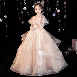 Kid Girl Princess Fluffy Yarn Formal Dresses
