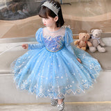 Kid Girl Frozen Aisha Long Sleeve Princess Dress