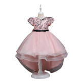 Kid Girl Princess Christmas Embroidered Trailing Show Dresses