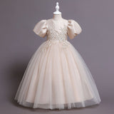Kid Girl Princess Mesh Puffy Wedding Floral Dress