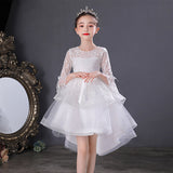 Kid Girl Princess Spring Autumn Mesh Sleeve Fluffy Mesh Dresses