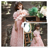 Kid Girl Princess Gauze Evening Lace Flower Pompous Dresses